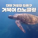 중부 | 대만 여행 가오슝 소류구 거북이 스노쿨링 투어 대중부잠 후기