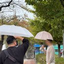 원용석사진연구소 이미지