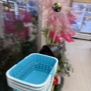 당신은 혁신의 편입니까? | 충북혁신도시 반찬가게 파프리카 포장 후기