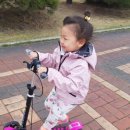 골월농장 네이버블로그