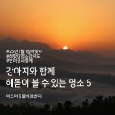 미드미 동물의료센터 네이버블로그