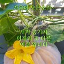 즐거운 휴일,건강한하루 이미지