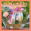 천호역꽃집 천호플라워카페 멜리플루아 / 엄마 생신 꽃바구니 후기