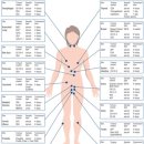 김남용내과의원 이미지