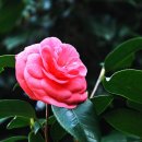 해운대 엘레지 이미지