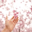 주일목장 이미지