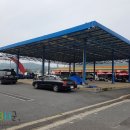 구기자 약초시장 이미지