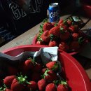 이광희 농장 이미지