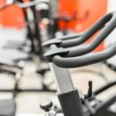 비다펠리즈 이미지