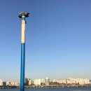 택시승강장 옆 이미지