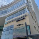 도화2.3동 행정복지센터 네이버블로그