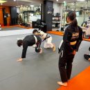 (주)지오미트