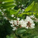 로그밸리 이미지