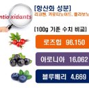 플렉스 이미지