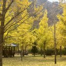 내린천 자연세상 이미지