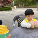 펫힐링달빛동물원