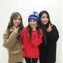 별콩 이미지