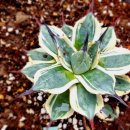 길상유통 이미지