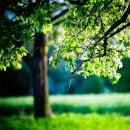 마중가는길 이미지