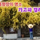 목향갤러리