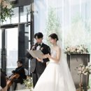 W 15 * 본식 스냅 (서브스냅) 어두운 홀 추천 &#39;비비안웨딩&#39; 계약 후기 (짝꿍코드 8만원 할인♥)