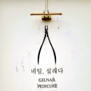 네일설레다 이미지