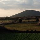 나무한그루 이미지