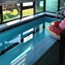 더 품은 이미지