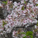 길 | 진천 드라이브 코스 → 초롱길·하늘다리·농암정 | 초평호 산책길 후기·전망 코스