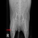 가야종합동물병원 이미지