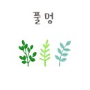 김포빙수 이미지