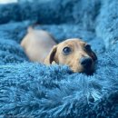 (주)골드클레이 이미지