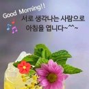 수지상사 이미지