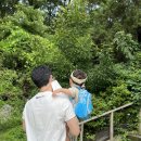 내속목장 이미지