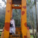 동양택시(주) 이미지