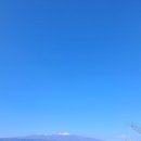 기당미술관 | 서귀포시립기당미술관 올레7길 가는 길에 들려봄 나홀로 제주여행