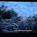 [서울 전시] <김영국 - 산은 내 안에 있다> 관람 후기, 서울시립미술관 서소문 분관