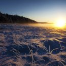 동원피드 이미지