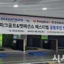 미다스펫 이미지