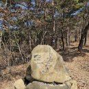 칠곡 금무봉나무고사리화석산지 | 한티가는길 제1길 비우는길 가실성당~신나무골성지(2025년3월11일)