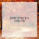 정감치과의원 이미지