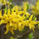 하이소