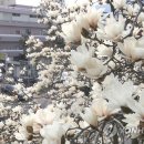 목련공방