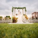 강남하우스 이미지