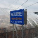 송이네펜션민박 이미지