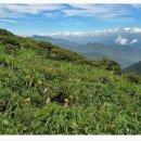 구천동 어사길 이미지