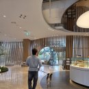 풍경운동장 | [경주]꼭 가봐야하는 경주 키녹 후기2편 운동장(내돈내산)