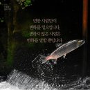 금당로90번길 이미지