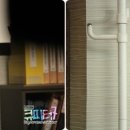 큐유이 이미지