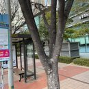 센텀리슈빌아파트 2단지 앞 이미지